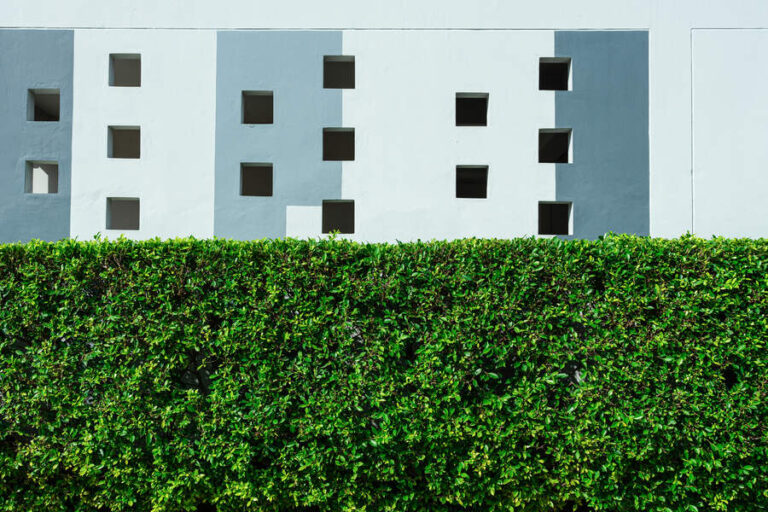 La hauteur de la haie clôturant cette villa est à peu près 3m