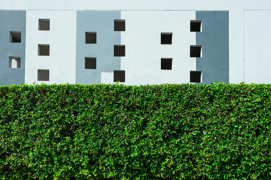 Hauteur haie / terrain surélevé : règles d'urbanisme et calcul