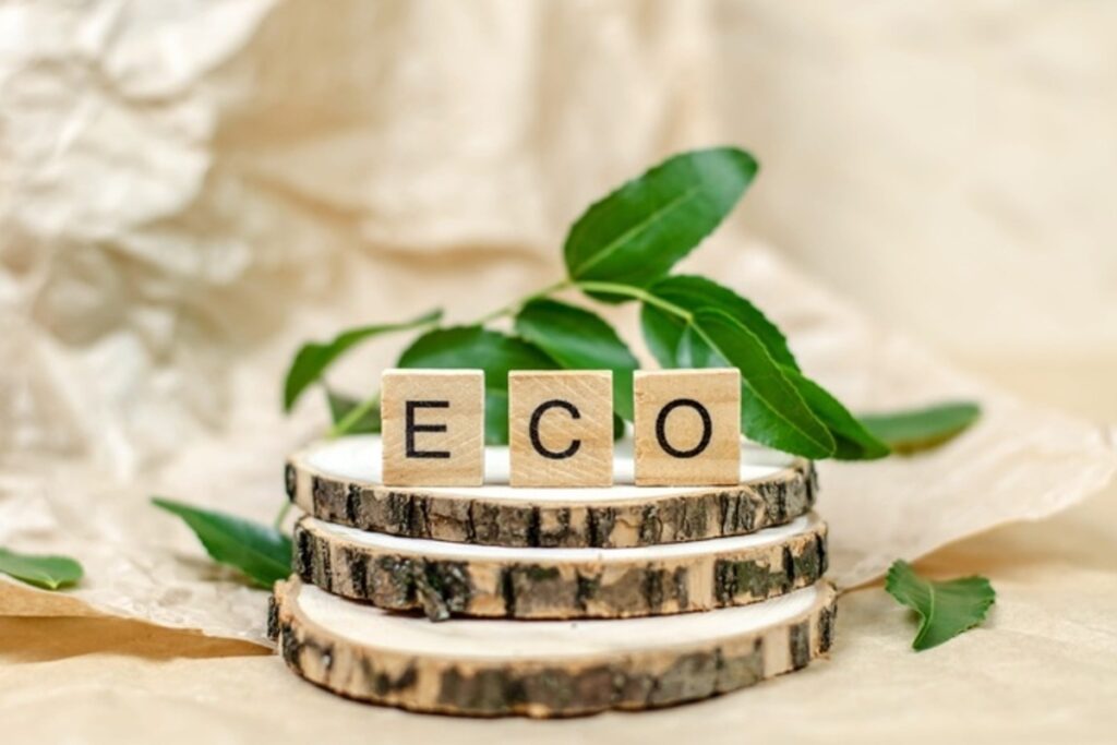 Les conditions des prêts éco-ptz