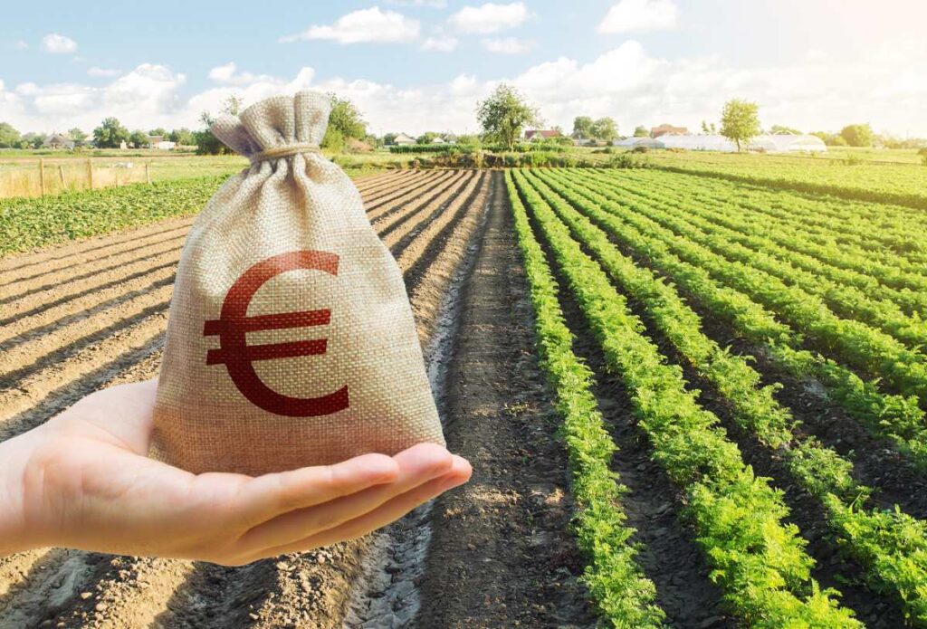 Un sac d'argent avec un symbole de l'euro sur un terrain agricole