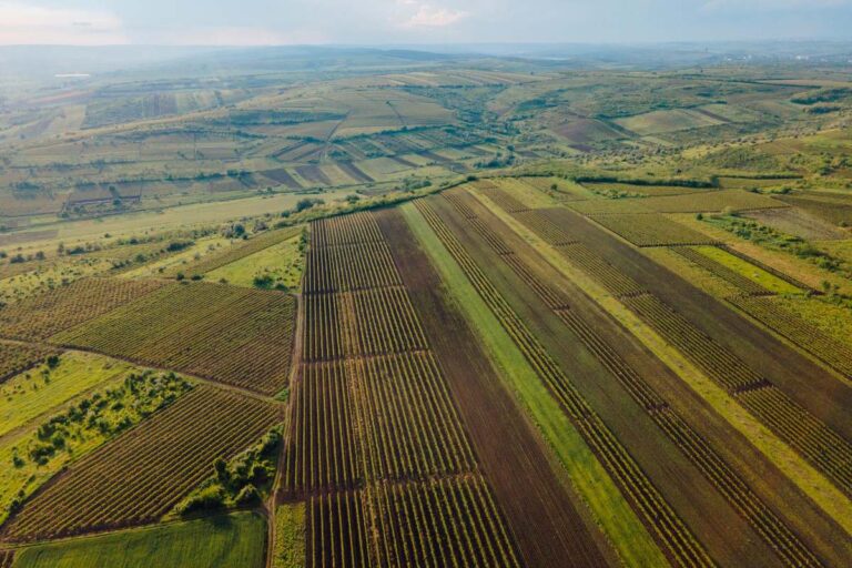 Des terres agricoles rurales